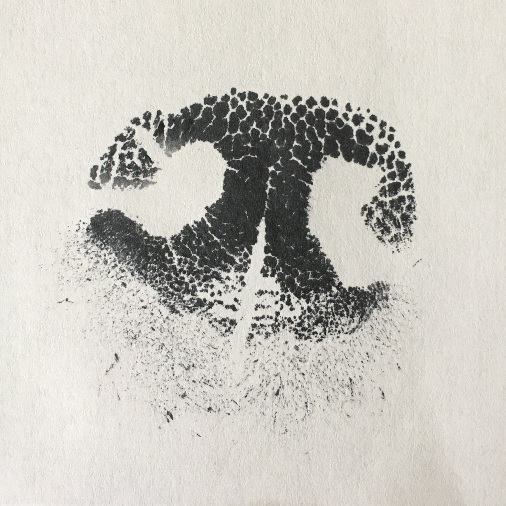 Ink Nose Print Angel Paws